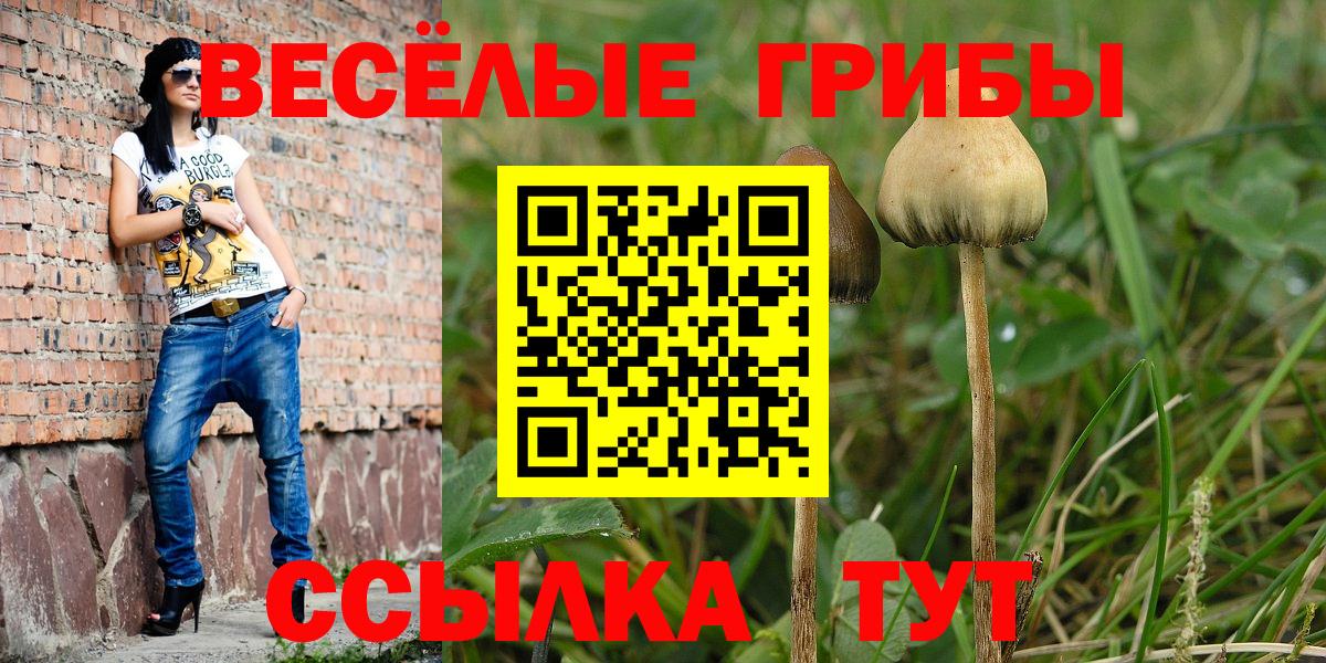 Псилоцибиновые грибы Psilocybe  Псилоцибиновые грибы Psilocybine cubensis  Вход с VPN  Артём 