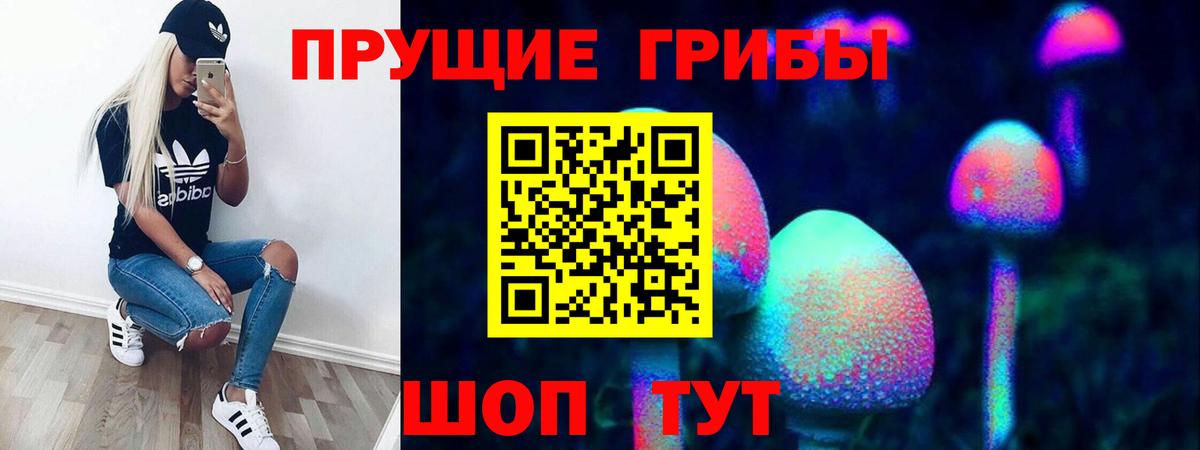 Галлюциногенные грибы Psilocybe Артём